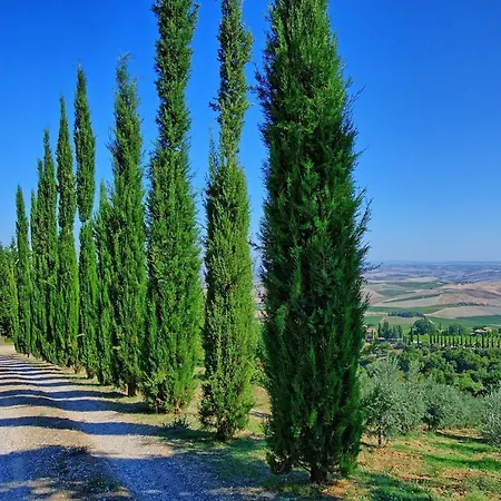 Sleeps 8 Pool Wifi Villa Montalcino